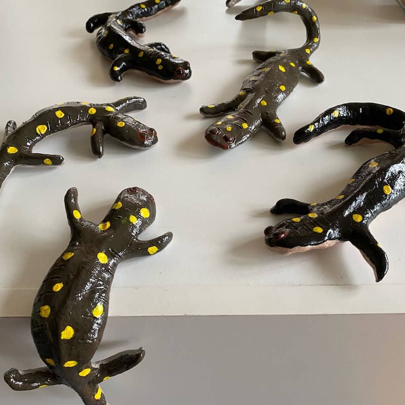 7 inch long stone clay salamanders painted brown and yellow by Eve Jacobs-Carnahan