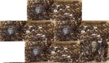 knitted brown yarn rectangles surrounding photos of man's face